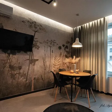 Grey Apartamenty Przy Skoczni & Ski Bus Szczyrk Exterior foto