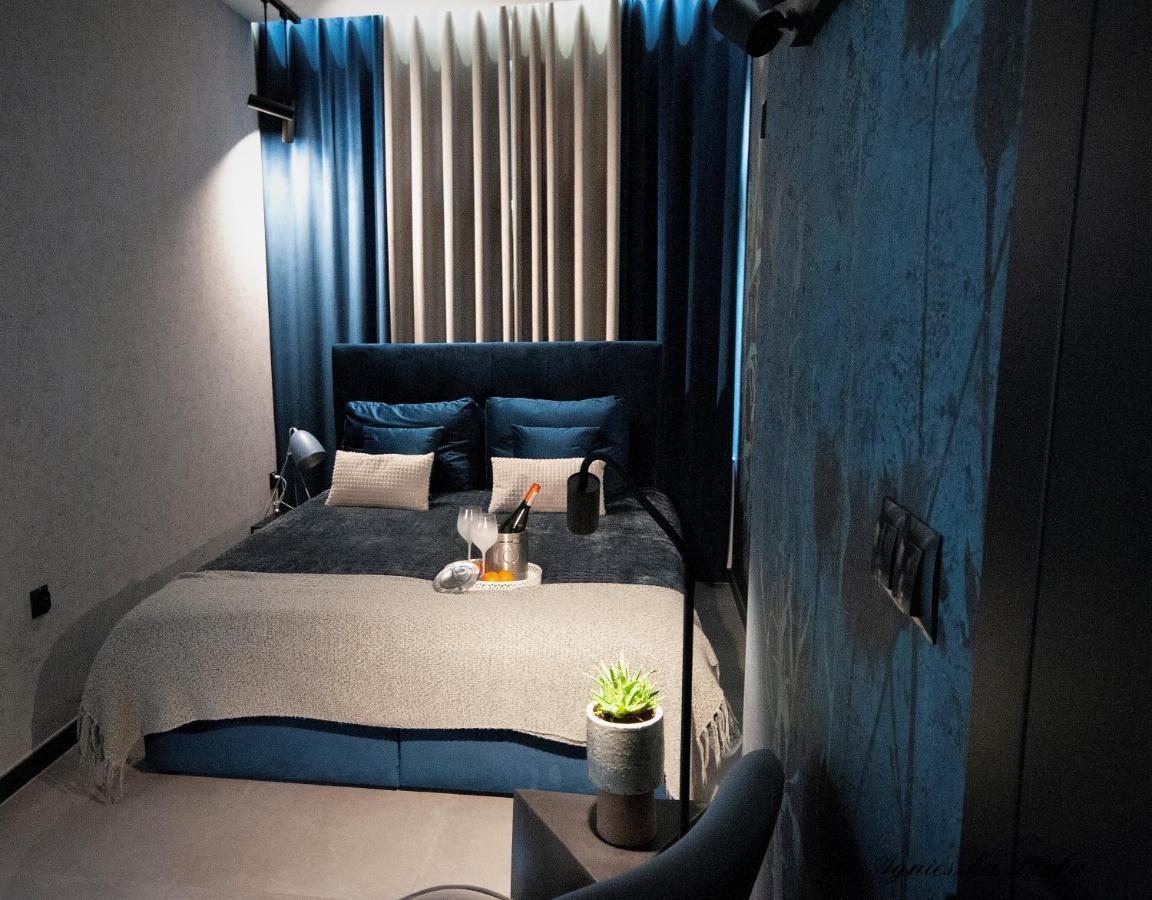 Grey Przy Skoczni & Bus Apartment *